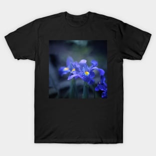 Iris T-Shirt